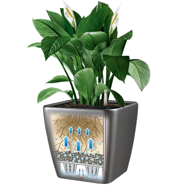 1181096323_w640_h640_vazon-s-kashpo (2)